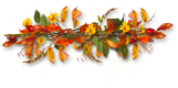 [Obrazek: attachment.php?aid=93189]